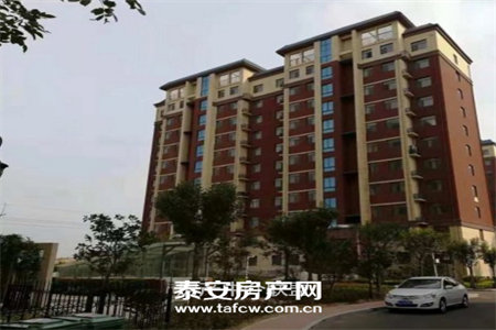 实验小学附近东岳广场3室2厅2卫98万127m2毛坯房出售